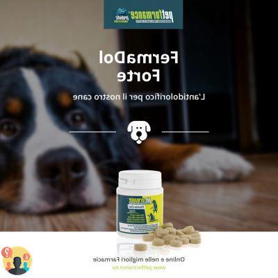 ¿Antiinflamatorios no esteroideos para perros?