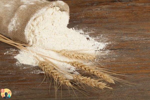 ¿Qué es la harina de trigo?