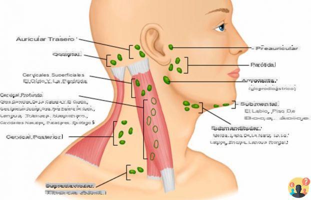 ¿Nódulo linfático entre el cuello y la clavícula?