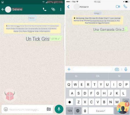 ¿Qué significan dos ticks grises en WhatsApp?