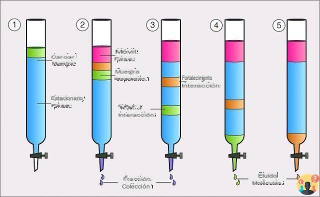 ¿Cromatografía en columna en química orgánica?