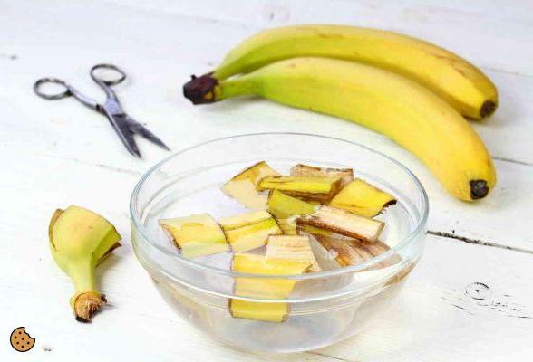 Cáscara de plátano para fertilizar?
